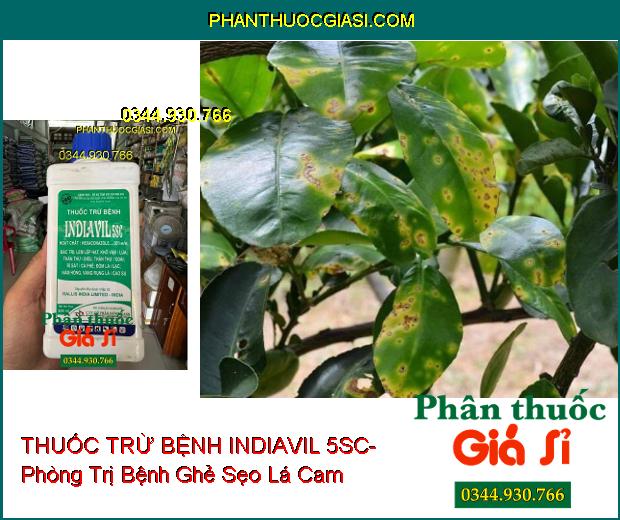 THUỐC TRỪ BỆNH INDIAVIL 5SC- Đặc Trị Lem Lép Hạt- Thán Thư- Rỉ Sắt