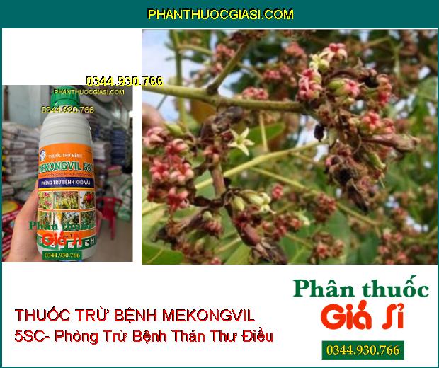 THUỐC TRỪ BỆNH MEKONGVIL 5SC- Phòng Trừ Bệnh Khô Vằn 