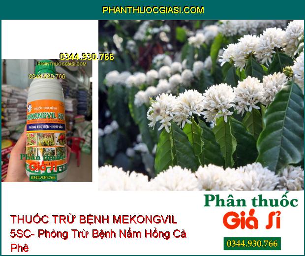 THUỐC TRỪ BỆNH MEKONGVIL 5SC- Phòng Trừ Bệnh Khô Vằn 