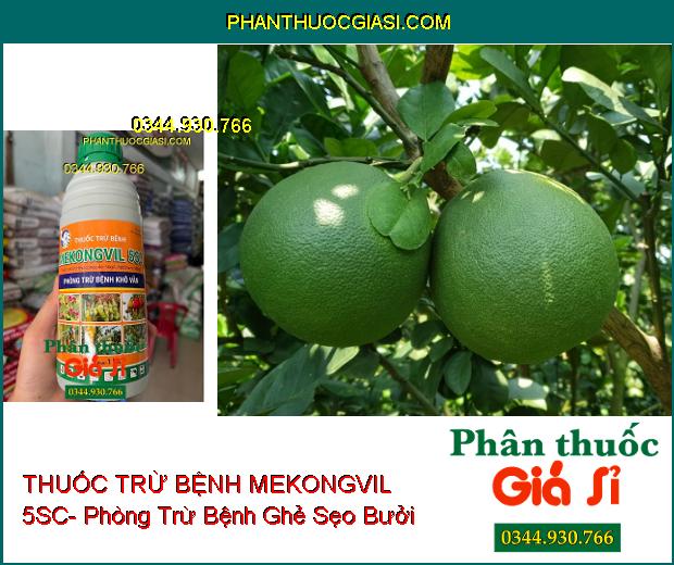 THUỐC TRỪ BỆNH MEKONGVIL 5SC- Phòng Trừ Bệnh Khô Vằn 