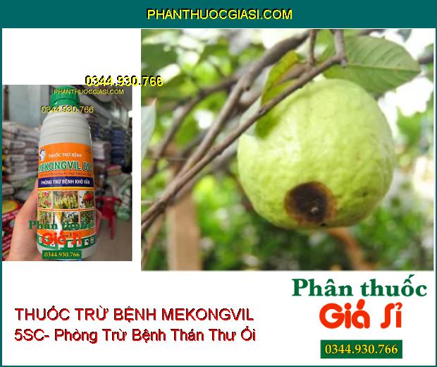 THUỐC TRỪ BỆNH MEKONGVIL 5SC- Phòng Trừ Bệnh Khô Vằn 