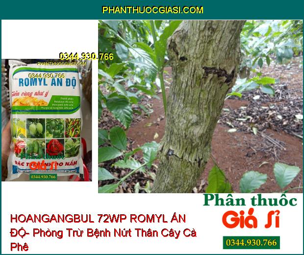 HOANGANGBUL 72WP ROMYL ẤN ĐỘ- Phòng Trừ Nhiều Loại Bệnh Hại Cây Trồng