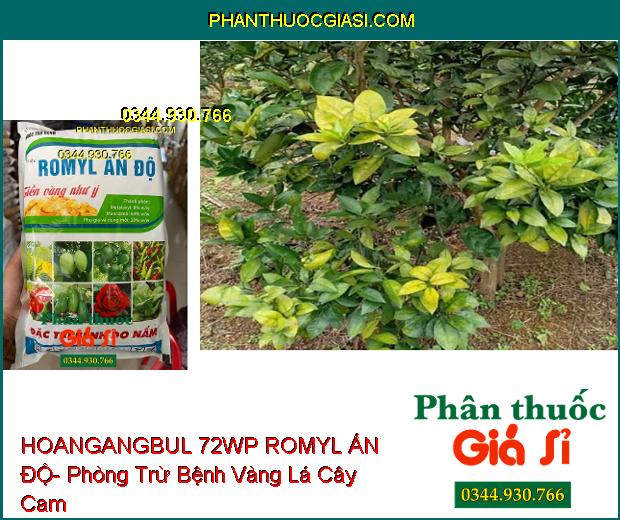 HOANGANGBUL 72WP ROMYL ẤN ĐỘ- Phòng Trừ Nhiều Loại Bệnh Hại Cây Trồng