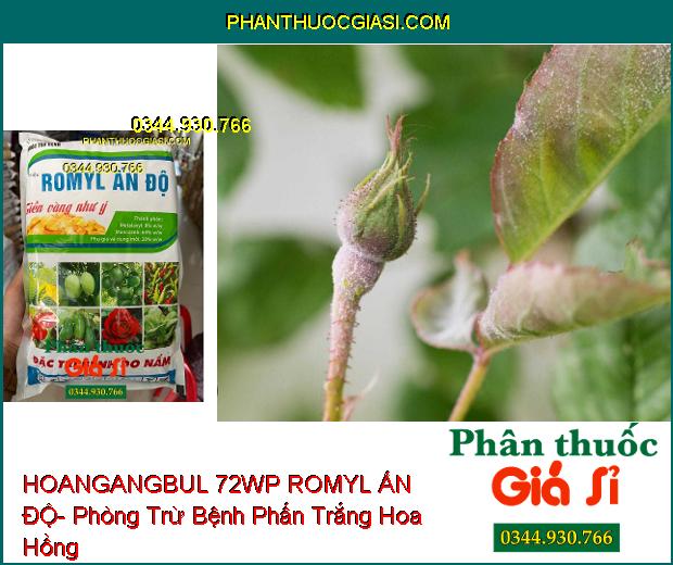 HOANGANGBUL 72WP ROMYL ẤN ĐỘ- Phòng Trừ Nhiều Loại Bệnh Hại Cây Trồng