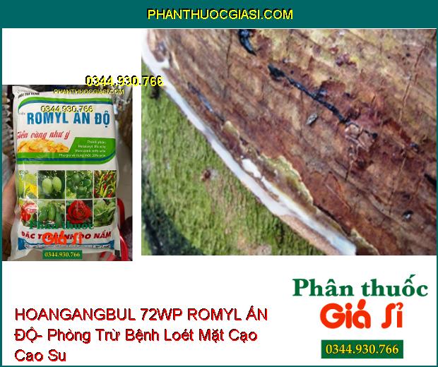 HOANGANGBUL 72WP ROMYL ẤN ĐỘ- Phòng Trừ Nhiều Loại Bệnh Hại Cây Trồng