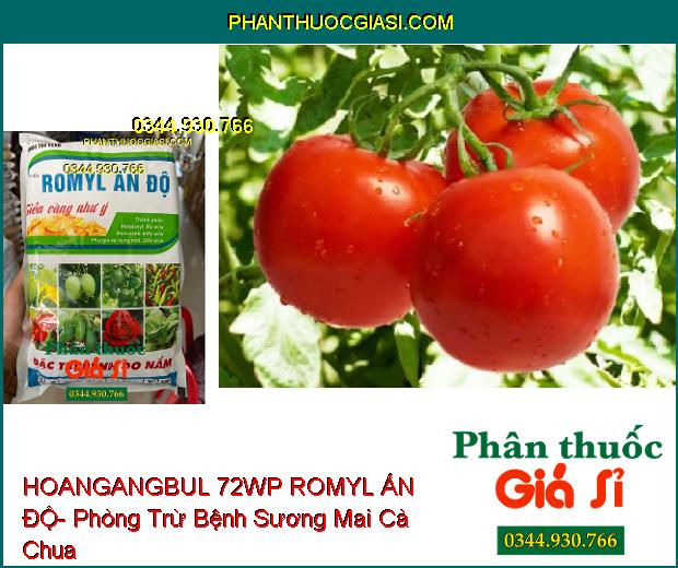 HOANGANGBUL 72WP ROMYL ẤN ĐỘ- Phòng Trừ Nhiều Loại Bệnh Hại Cây Trồng