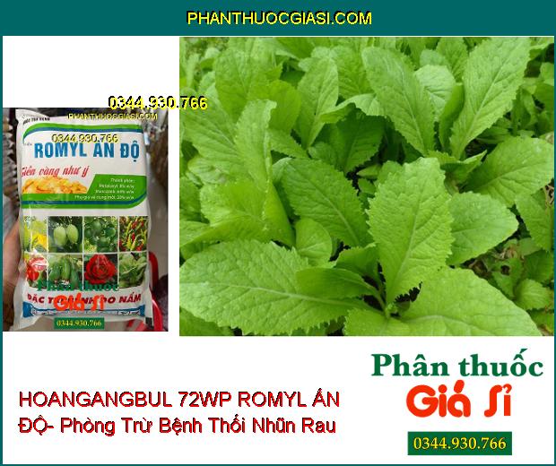 HOANGANGBUL 72WP ROMYL ẤN ĐỘ- Phòng Trừ Nhiều Loại Bệnh Hại Cây Trồng