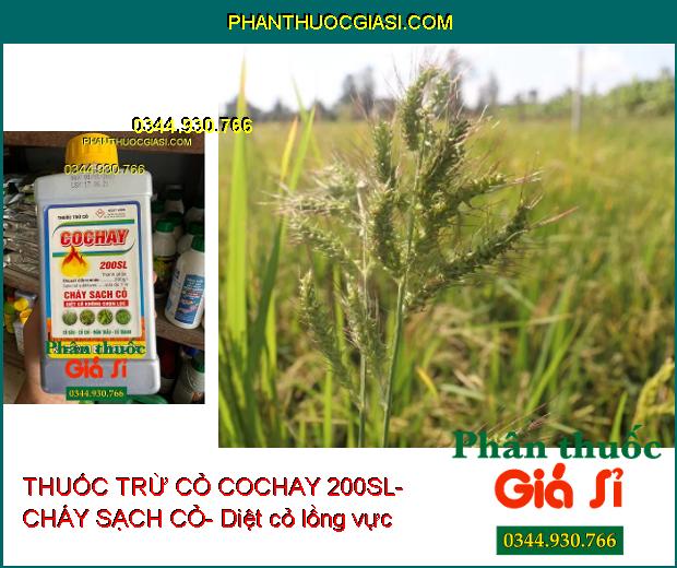 THUỐC TRỪ CỎ COCHAY 200SL- CHÁY SẠCH CỎ