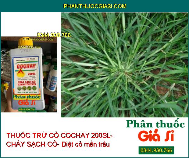 THUỐC TRỪ CỎ COCHAY 200SL- CHÁY SẠCH CỎ