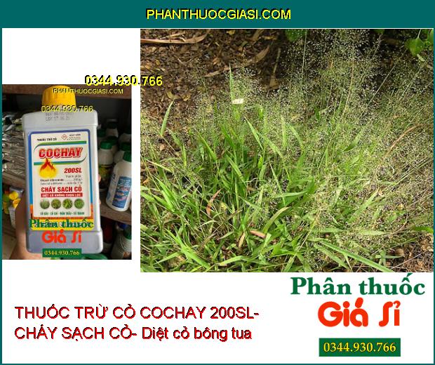 THUỐC TRỪ CỎ COCHAY 200SL- CHÁY SẠCH CỎ