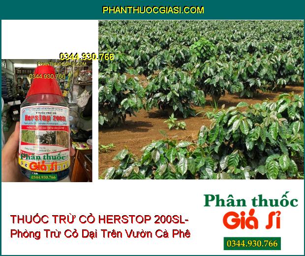 THUỐC TRỪ CỎ HERSTOP 200SL- Phòng Trừ Cỏ Dại Trên Vườn Cà Phê