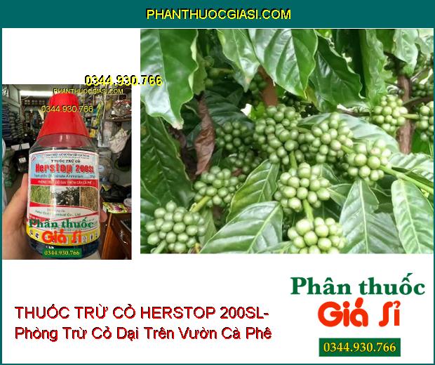 THUỐC TRỪ CỎ HERSTOP 200SL- Phòng Trừ Cỏ Dại Trên Vườn Cà Phê