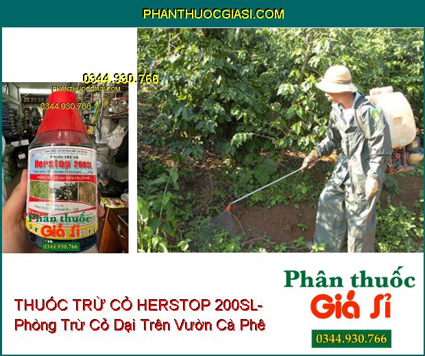 THUỐC TRỪ CỎ HERSTOP 200SL- Phòng Trừ Cỏ Dại Trên Vườn Cà Phê