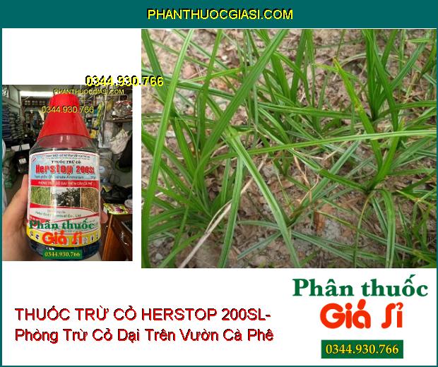 THUỐC TRỪ CỎ HERSTOP 200SL- Phòng Trừ Cỏ Dại Trên Vườn Cà Phê