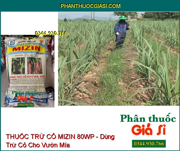 THUỐC TRỪ CỎ MIZIN 80WP - Dùng Trừ Cỏ Cho Mía Và Ngô