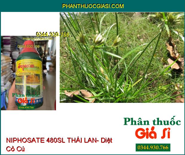 NIPHOSATE 480SL THÁI LAN