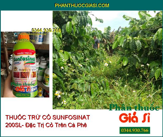 THUỐC TRỪ CỎ SUNFOSINAT 200SL- Đặc Trị Cỏ Trên Cà Phê