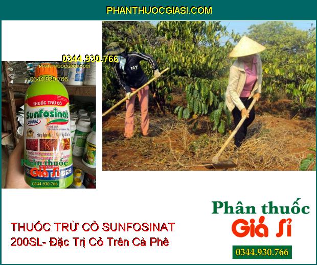 THUỐC TRỪ CỎ SUNFOSINAT 200SL- Đặc Trị Cỏ Trên Cà Phê