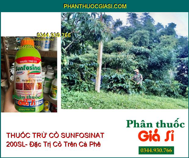 THUỐC TRỪ CỎ SUNFOSINAT 200SL- Đặc Trị Cỏ Trên Cà Phê