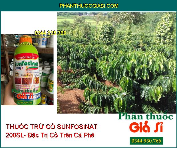 THUỐC TRỪ CỎ SUNFOSINAT 200SL- Đặc Trị Cỏ Trên Cà Phê