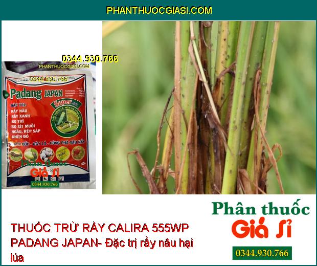 THUỐC TRỪ RẦY CALIRA 555WP PADANG JAPAN- Công Phá Sâu Rầy