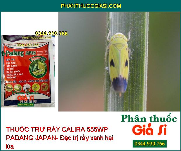 THUỐC TRỪ RẦY CALIRA 555WP PADANG JAPAN- Công Phá Sâu Rầy