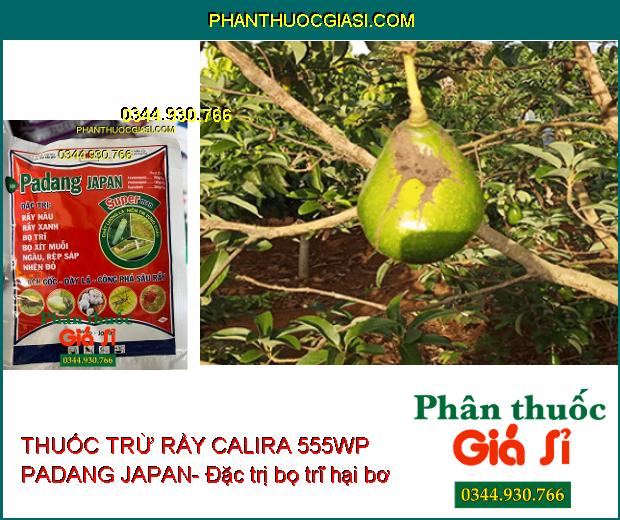 THUỐC TRỪ RẦY CALIRA 555WP PADANG JAPAN- Công Phá Sâu Rầy