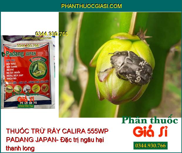 THUỐC TRỪ RẦY CALIRA 555WP PADANG JAPAN- Công Phá Sâu Rầy