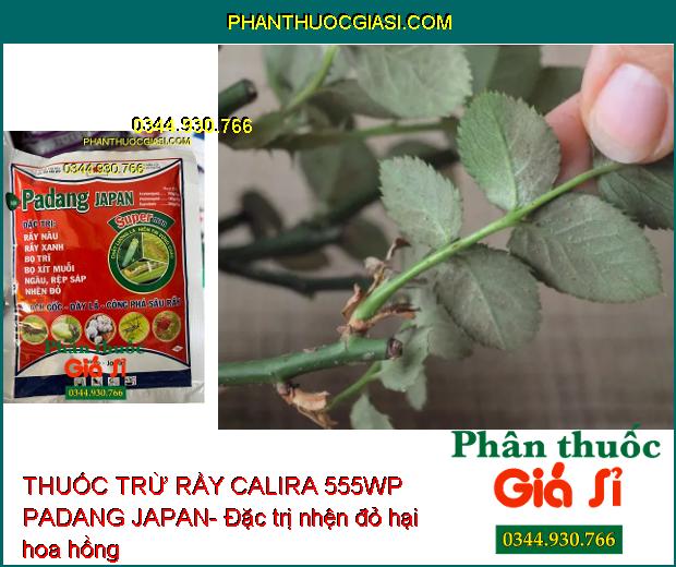 THUỐC TRỪ RẦY CALIRA 555WP PADANG JAPAN- Công Phá Sâu Rầy