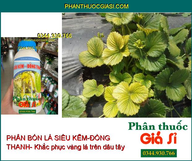 PHÂN BÓN LÁ SIÊU KẼM-ĐỒNG THANH