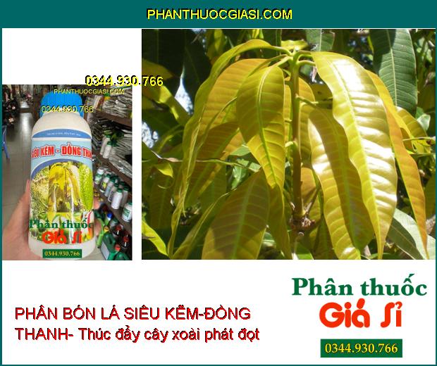 PHÂN BÓN LÁ SIÊU KẼM-ĐỒNG THANH