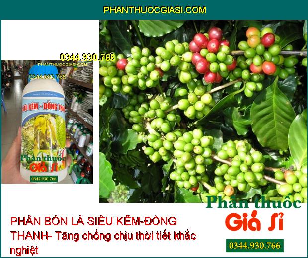 PHÂN BÓN LÁ SIÊU KẼM-ĐỒNG THANH