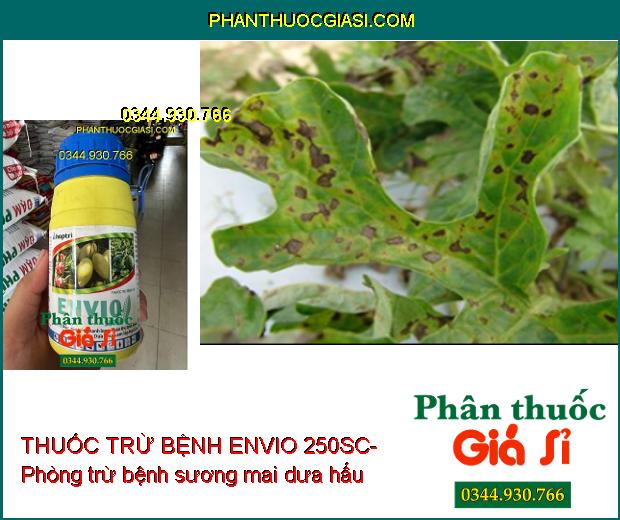 THUỐC TRỪ BỆNH ENVIO 250SC- Phòng Trừ Nấm Bệnh Hại Cây Trồng