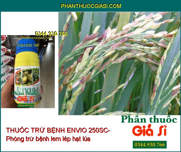 THUỐC TRỪ BỆNH ENVIO 250SC- Phòng Trừ Nấm Bệnh Hại Cây Trồng