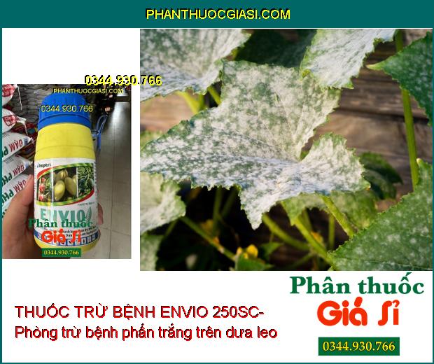 THUỐC TRỪ BỆNH ENVIO 250SC- Phòng Trừ Nấm Bệnh Hại Cây Trồng