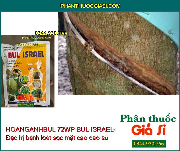 HOANGANHBUL 72WP BUL ISRAEL