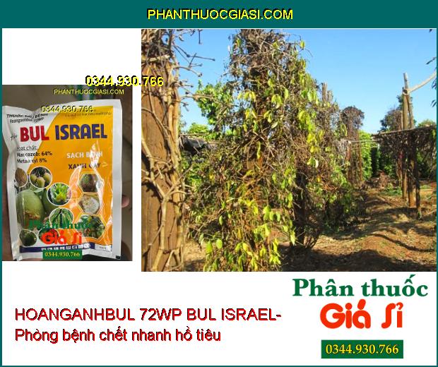 HOANGANHBUL 72WP BUL ISRAEL