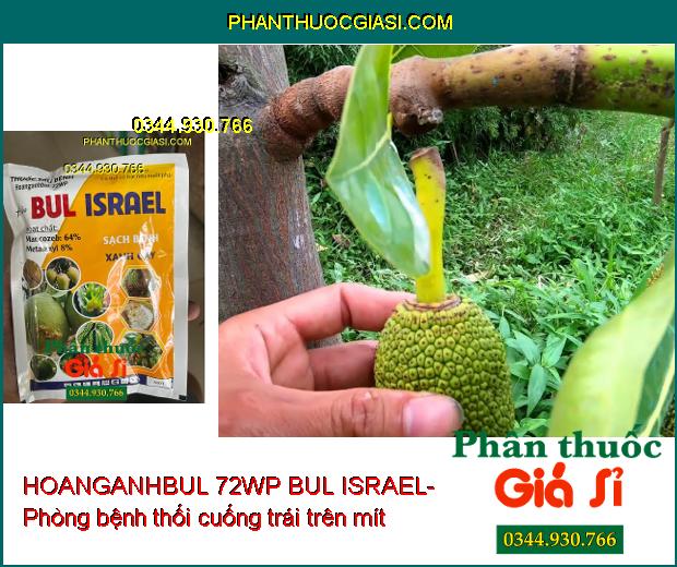 HOANGANHBUL 72WP BUL ISRAEL