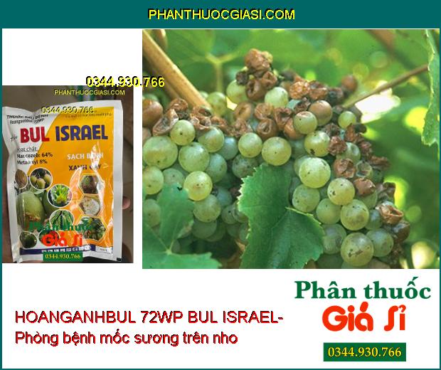 HOANGANHBUL 72WP BUL ISRAEL