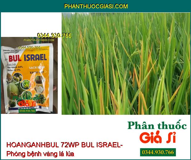 HOANGANHBUL 72WP BUL ISRAEL