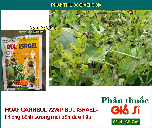 HOANGANHBUL 72WP BUL ISRAEL