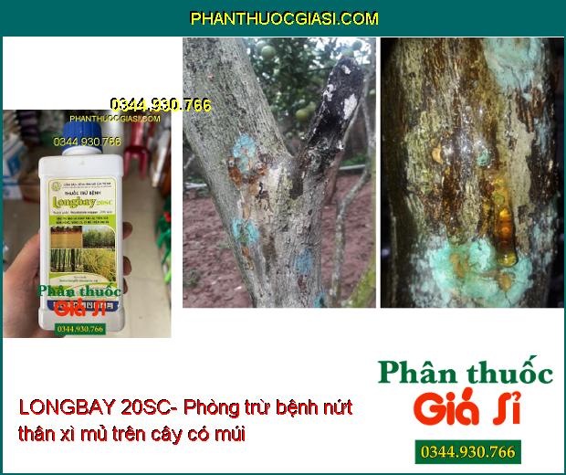 THUỐC TRỪ BỆNH LONGBAY 20SC