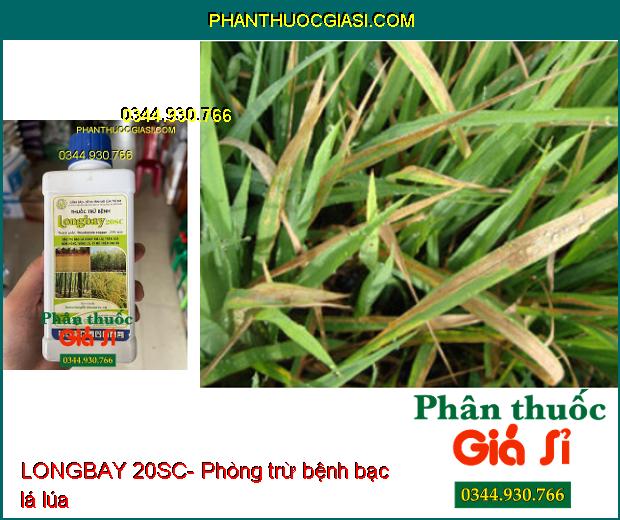 THUỐC TRỪ BỆNH LONGBAY 20SC