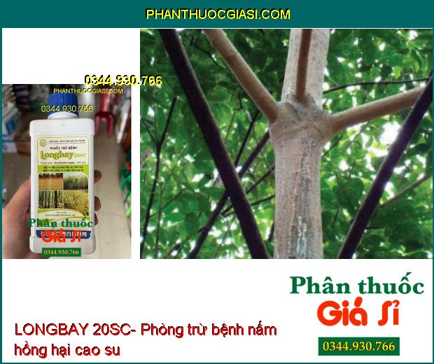 THUỐC TRỪ BỆNH LONGBAY 20SC