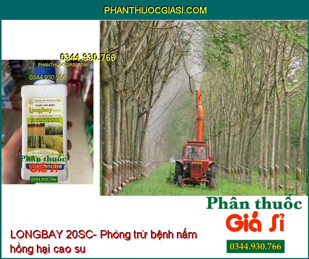 THUỐC TRỪ BỆNH LONGBAY 20SC