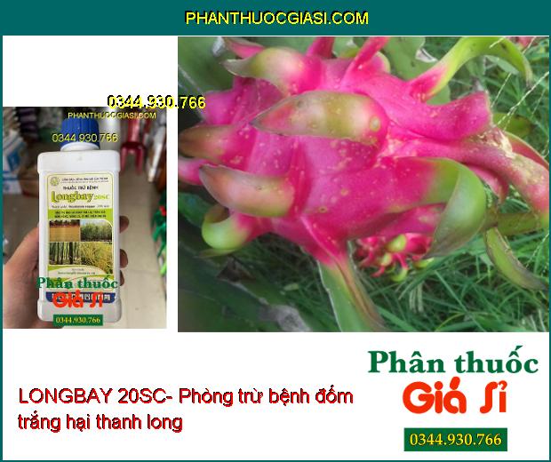 THUỐC TRỪ BỆNH LONGBAY 20SC