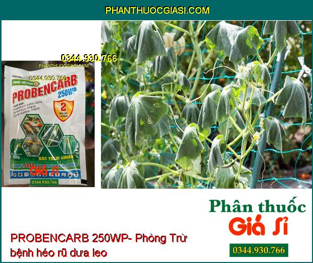 THUỐC TRỪ BỆNH PROBENCARB 250WP