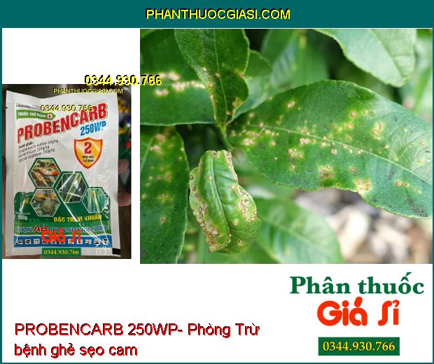 THUỐC TRỪ BỆNH PROBENCARB 250WP