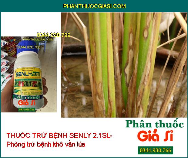 THUỐC TRỪ BỆNH SENLY 2.1SL