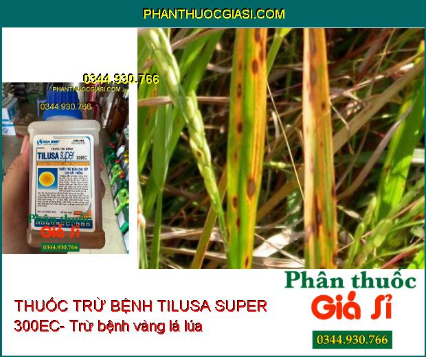 THUỐC TRỪ BỆNH TILUSA SUPER 300EC